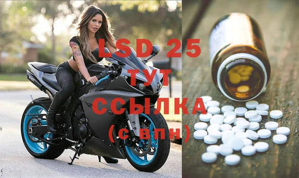 прущие грибы Алексеевка