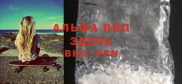 стаф Абинск