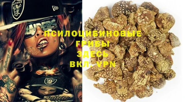 стаф Абинск
