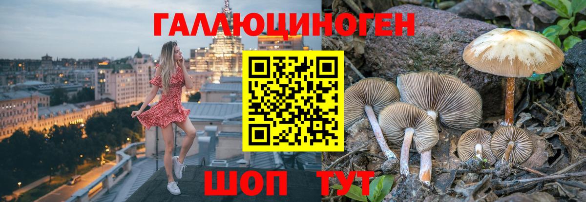 Псилоцибиновые грибы Psilocybe  Татарск 