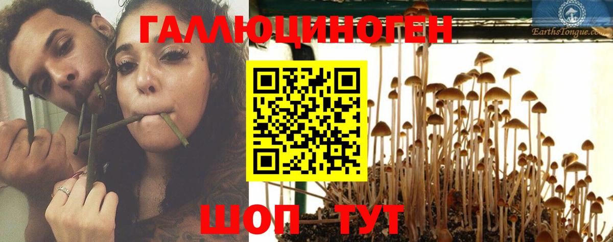 Псилоцибиновые грибы MAGIC MUSHROOMS  Вход с VPN  Псилоцибиновые грибы Psilocybe  Татарск 