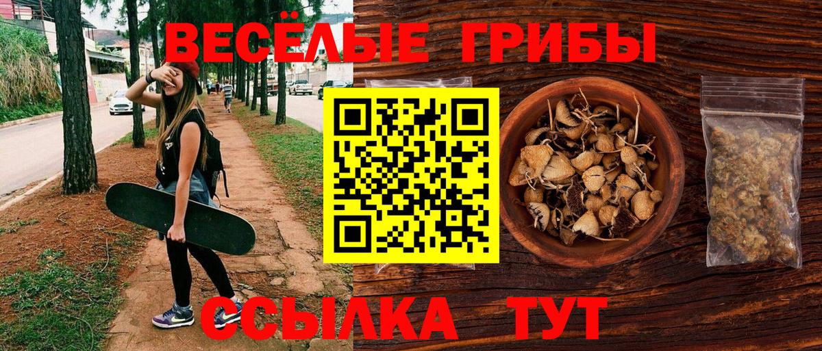Псилоцибиновые грибы мицелий Татарск